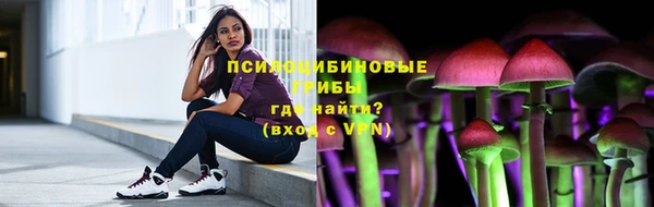 хмурый Алексин