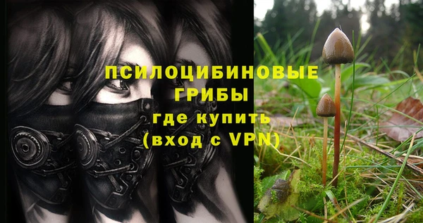хмурый Алексин