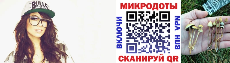 Галлюциногенные грибы прущие грибы  Алатырь 