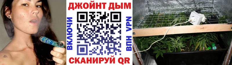 Конопля планчик  Алатырь 